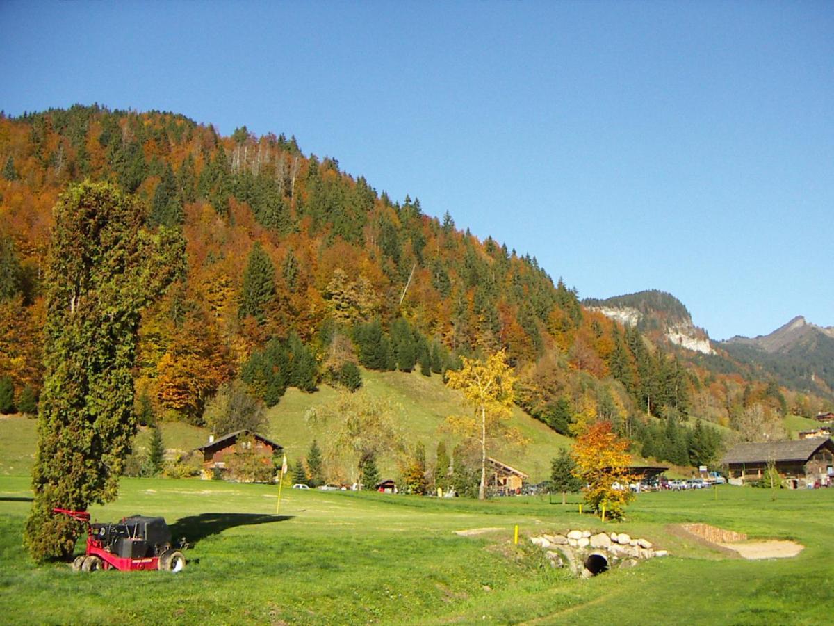 "Chalet Les Aravis" Chalet Et Appartements Le Grand-Bornand Exterior photo
